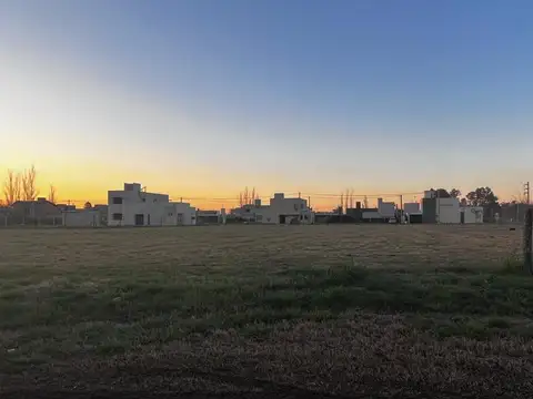 Terreno en Venta de 831,0 m2