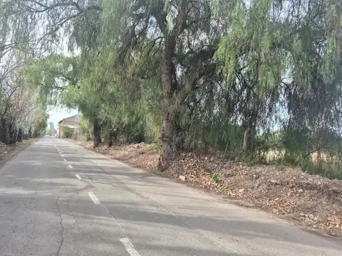 Terreno en Venta en Maza, USD 460.000