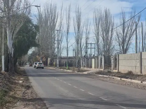 Maza 100