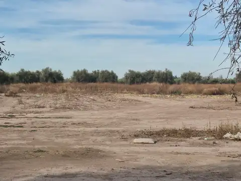 Terreno en Venta de 33229,0 m2