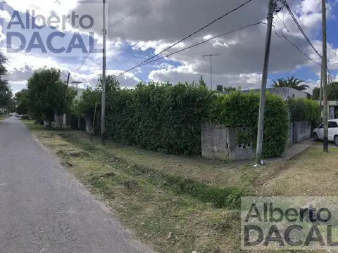 484/ 29