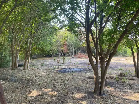 Terreno en Venta 45  mts Fondo