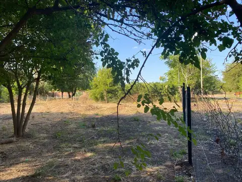 Terreno en Venta 32  mts Frente