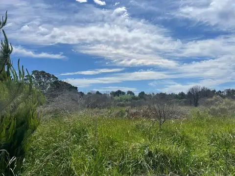 22 bis entre 37 y 39