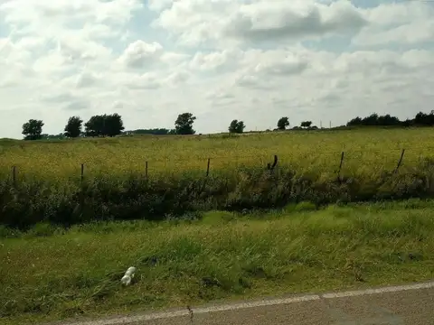 Lotes en Venta Ruta 18 Rolon - La Pampa