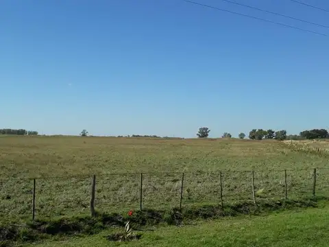 Lotes en Venta Ruta 18 Rolon - La Pampa