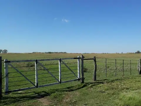 Lotes en Venta Ruta 18 Rolon - La Pampa