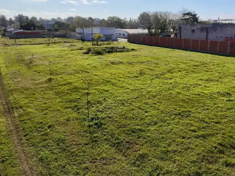 Ricardo Gutierrez 8900