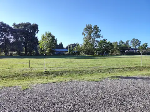 Ruben Torres 1450 1400