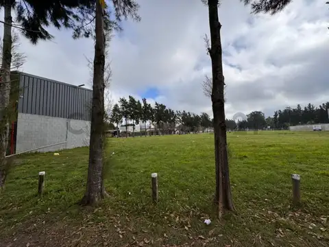 Oficina en Venta en Joaquin Gorina, USD 75.000