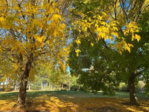 Rbs. Gran Lote En Cardales Village. Con Escritura