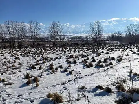 COCUCCI INMOBILIARIA VENDE excelente terreno en Tupugato 