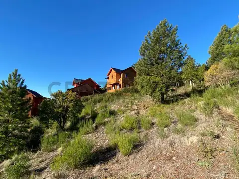 Guillermo Vieiro , Piso 0