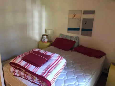 DIAGONAL MANSILLA Y PUELCHES