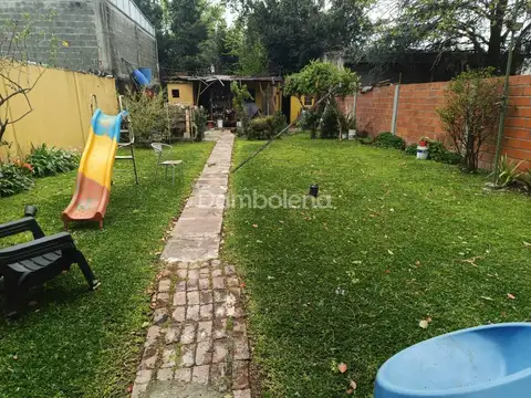 Darwin Pasaponti 300