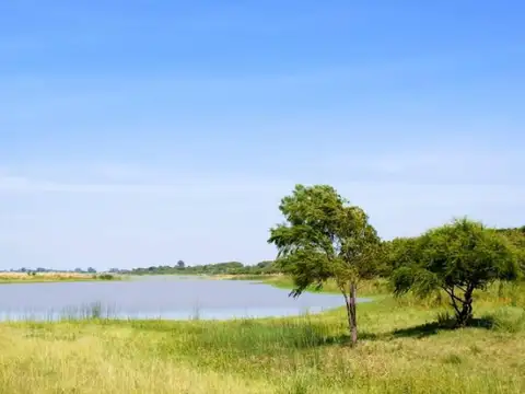 Se Vende  Terreno en Col. Mascías c/vista al río - San Javier