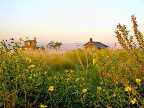 Ruta N° 1 - Colonia Mascías