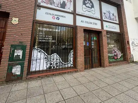 ALQUILER LOCAL SOBRE AVENIDA COLON