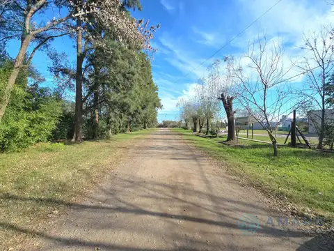 ·VENTA · FRACCION DE TIERRA 8900m² ·     CASA · PROYECTO · FUNES