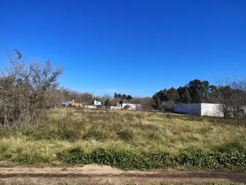 Terreno en Venta 31  mts Fondo