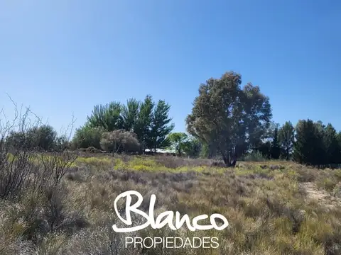 Campo  en Venta en 25 De Mayo, Puelen, La Pampa