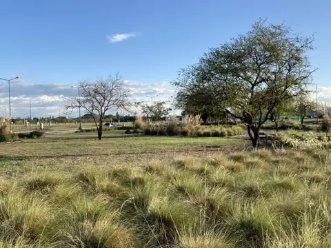 Terreno en Venta en Zona Sur, USD 19.900