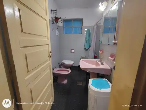 Lonquimay y Los alerces 100