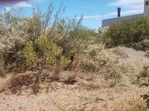 Terreno en Venta en Picun Leufu, USD 16.000