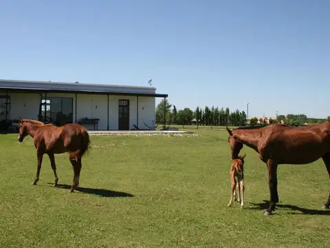 VENTA LOTE CLUB DE CAMPO LA RANITA