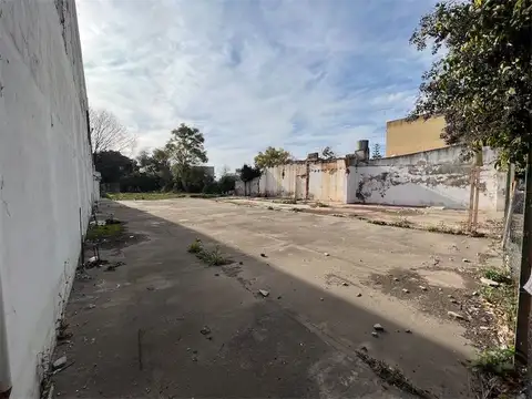 BELGRANO 300