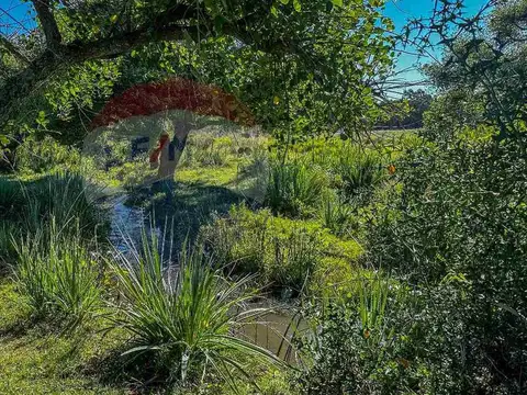 Chacra Marítima en venta - Ruta 104 José Ignacio