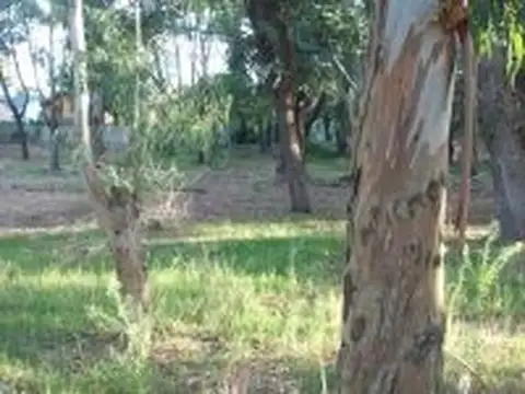 Terreno en Venta en Villa Gesell, USD 50.000
