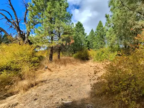 Chacra 6 has en Trevelin