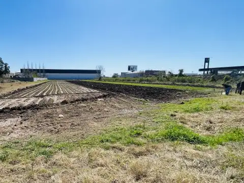 27 de febrero 7566