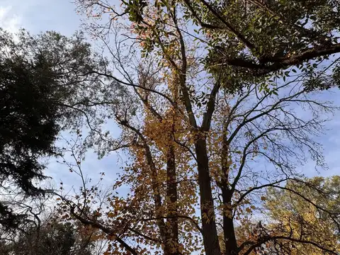 Terreno en Venta de 833,0 m2