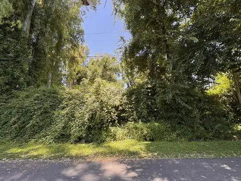 Lote en venta Benavidez La Bota