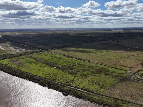 ISLA DE 319 HA EN VENTA SOBRE EL RÍO PARANA-ALSINA, BARADERO BUENOS AIRES, EXCELENTE INVERSIÓN.