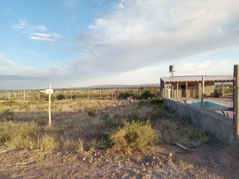 Antartida  Argentina  s/n 100