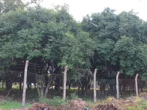 Terreno en Venta en Luque, USD 2.700.000