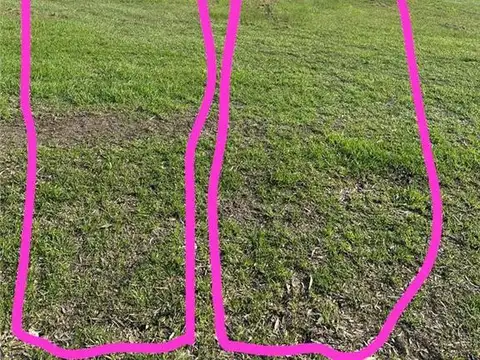 Terreno en Venta en Guernica, USD 35.000