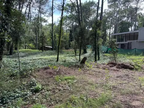 Terreno Lote  en Venta en Carilo, Costa Atlántica, Buenos Aires