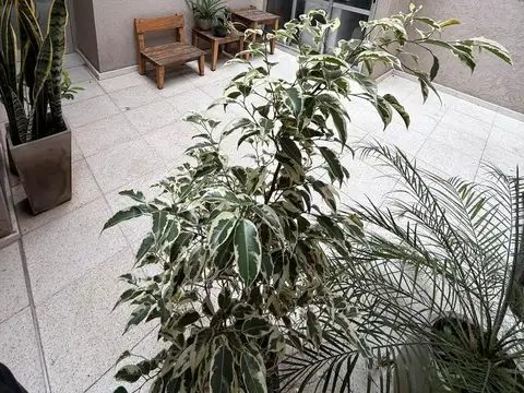 Depto Tipo Casa en Venta en Centro, USD 190.000