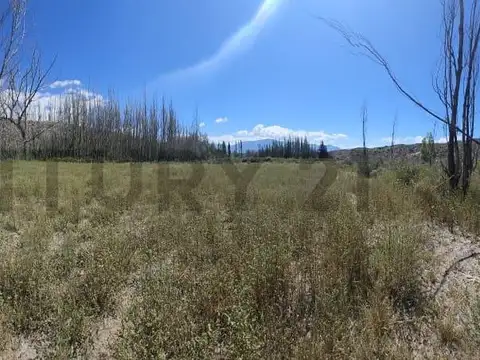 VENTA DE TERRENO EN POTRERILLOS, MENDOZA. ID: 321621
