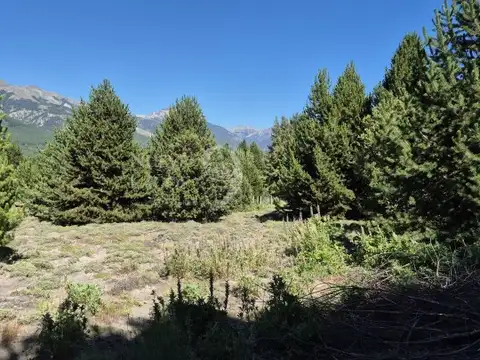 Venta de dos lotes comerciales soleados en Meliquina