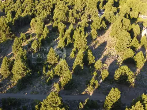 Terreno en Venta en Meliquina, USD 58.000