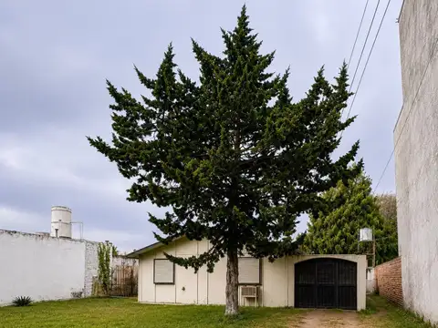 Calle 3 1600