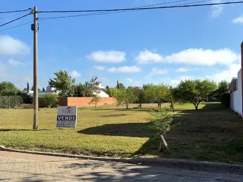 Fco. Ramirez Casi Primera Junta.