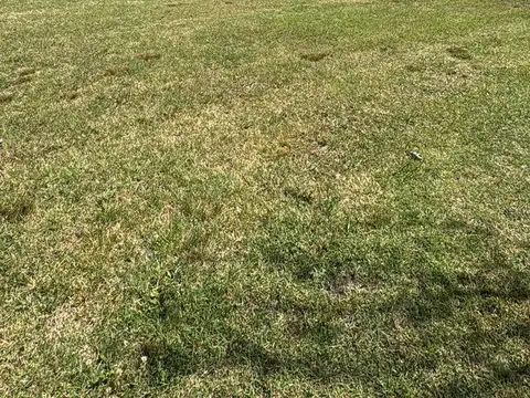 Terreno en Venta en Funes, USD 485.000