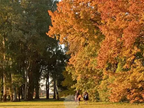 Terreno en Venta de 1942,0 m2