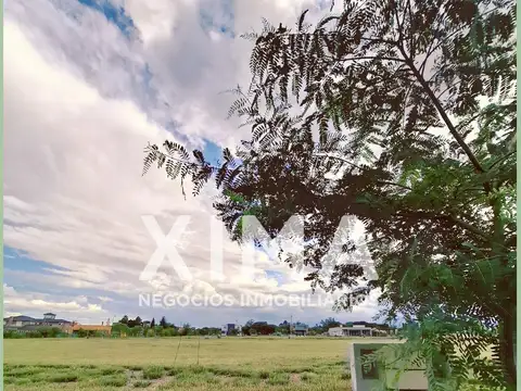 Terreno en venta La verbena
